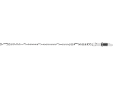 19100016-NONE-0