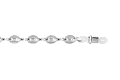 19100031-NONE-1