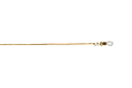 19110006