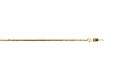 19110008