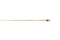 19110020