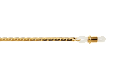 19110021