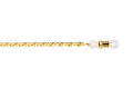 19110026