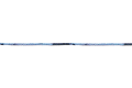 21300205