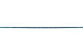 21300206