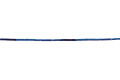 21300219