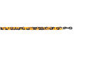 21500353