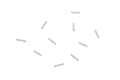 24900002-NONE-1