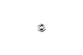 32029145