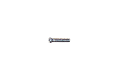 34018061