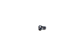 34068163
