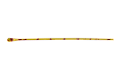 35092051