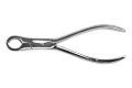 61262529