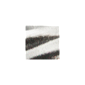 99120583