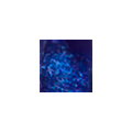 99120588-NONE-0