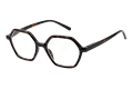 LE-0211B------Bruin-1