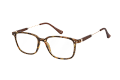 LE-0213B------Bruin-1