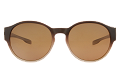 VZ0039--------E2---Brown-1