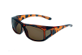 VZ0101-------