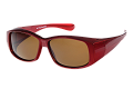 WT0009--------C-1