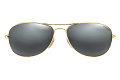 ZO0019--------B-0