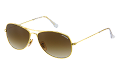ZO0019--------C-1