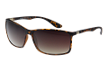 ZO0022--------C-1