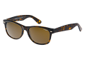 ZO0023--------B-1