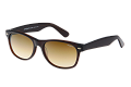 ZO0023--------C-1