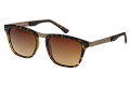 ZO0067--------B-1