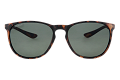 ZO0070--------C-0
