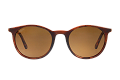 ZO0095--------C-0