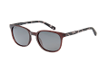 ZO0105--------C-1