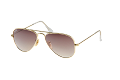 ZO0107--------E-1