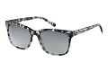 ZO0212--------B-1
