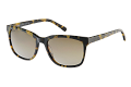 ZO0212--------C-1