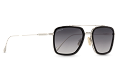 ZO0219--------C-1